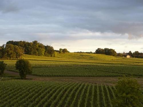 Chateau La Rose Perriere Lussac  Εξωτερικό φωτογραφία