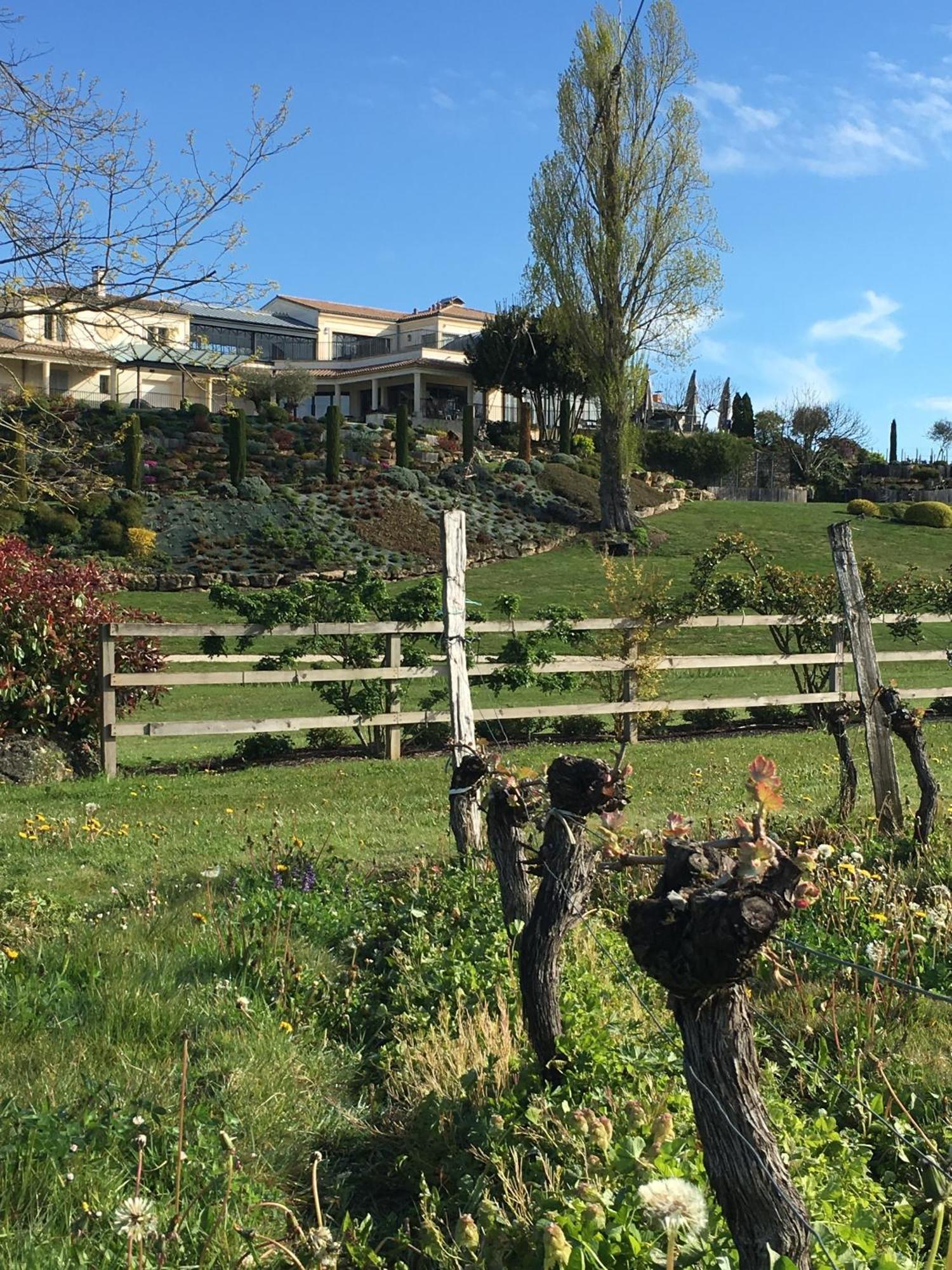 Chateau La Rose Perriere Lussac  Εξωτερικό φωτογραφία
